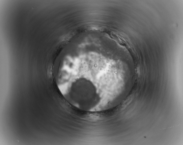 X0000094330423200711301232