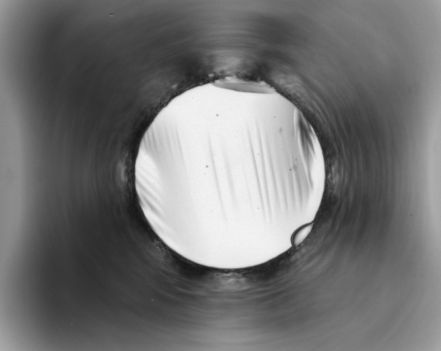 X0000094330424200711301232