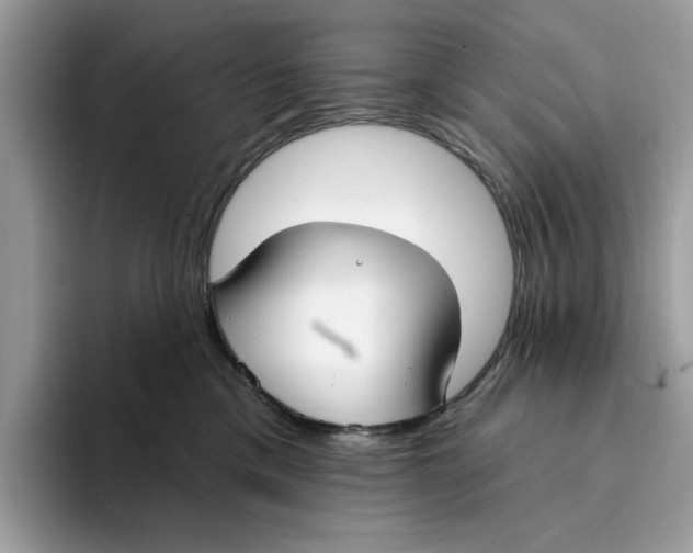 X0000094330425200711301232