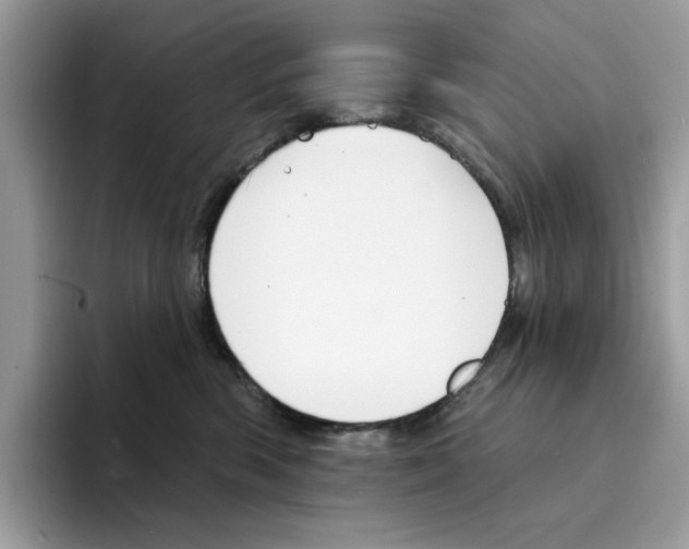 X0000094330426200711301232