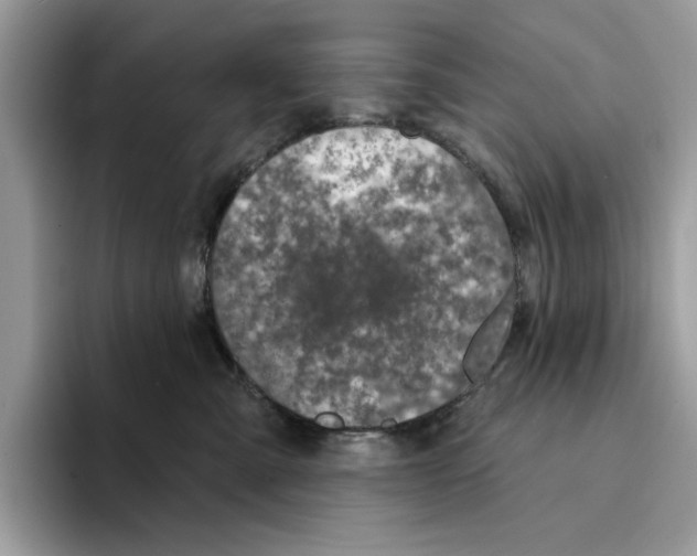 X0000094330427200711301232