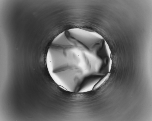 X0000094330428200711301232