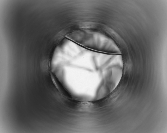 X0000094330429200711301232