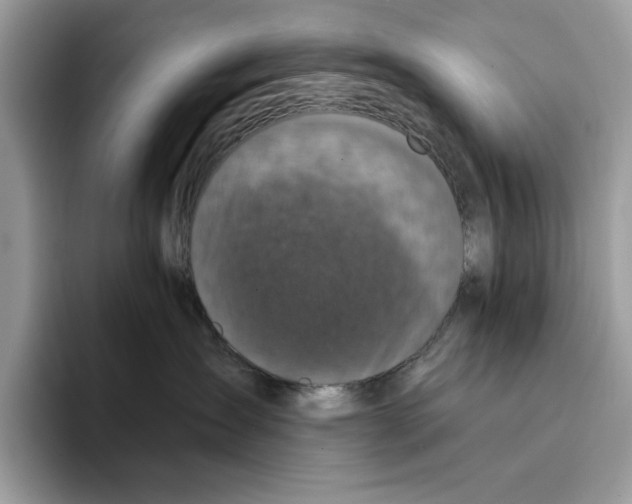 X0000094330431200711301232