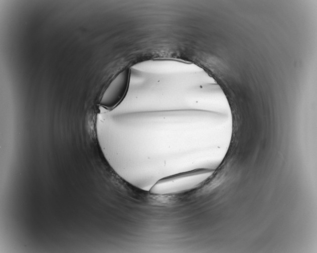 X0000094330432200711301232