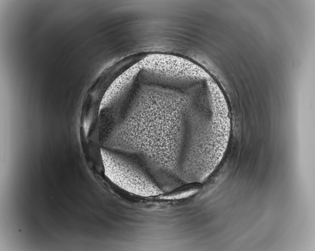 X0000094330434200711301231