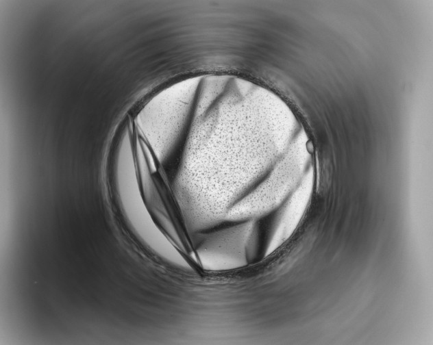 X0000094330435200711301231