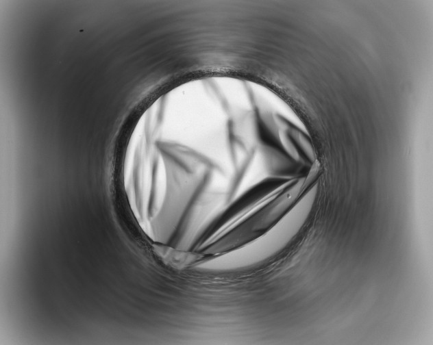 X0000094330440200711301232