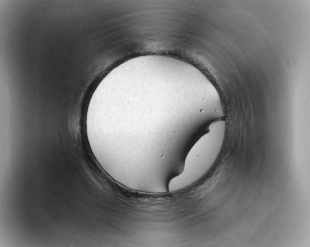 X0000094330443200711301232