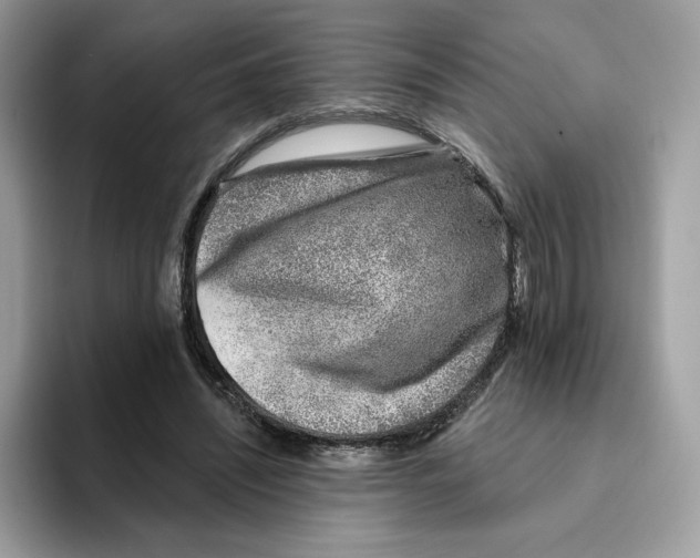 X0000094330444200711301232