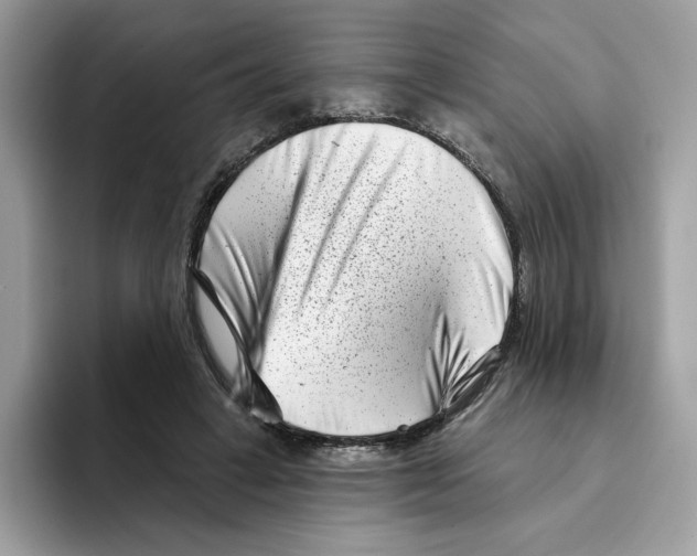 X0000094330449200711301232