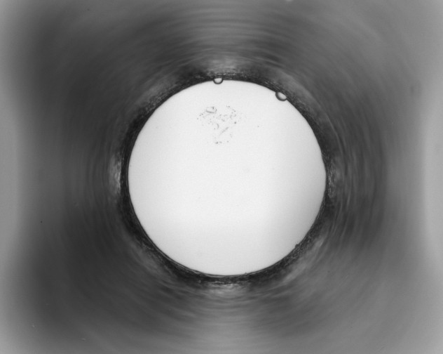 X0000094330454200711301232