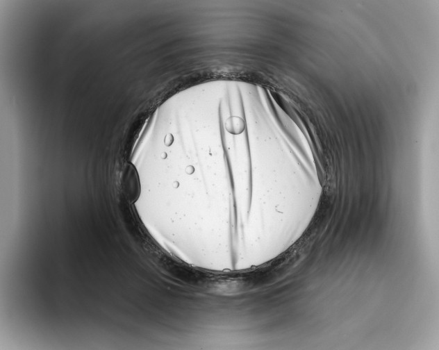 X0000094330456200711301232