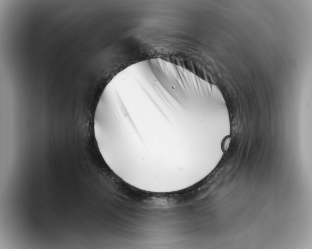 X0000094330464200711301232