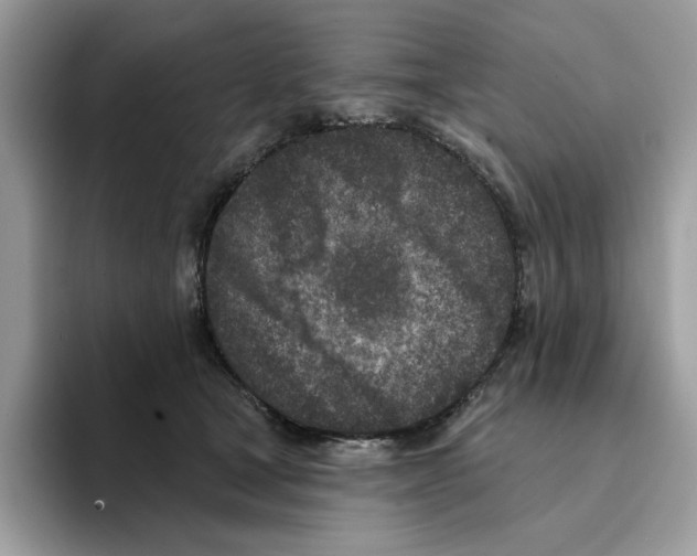 X0000094330465200711301232