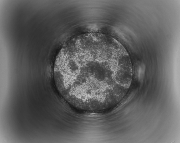 X0000094330467200711301232