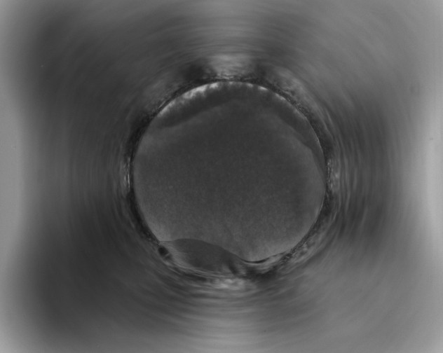 X0000094330471200711301232