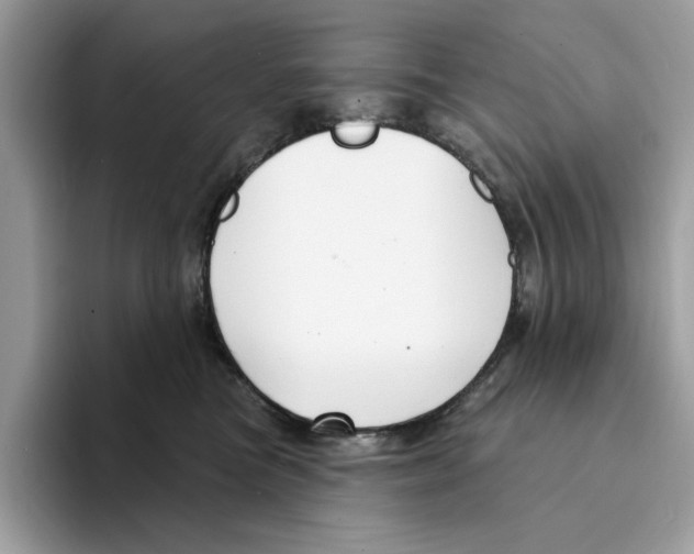 X0000094330473200711301232