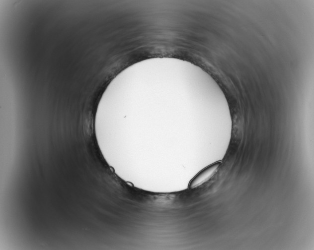 X0000094330474200711301232