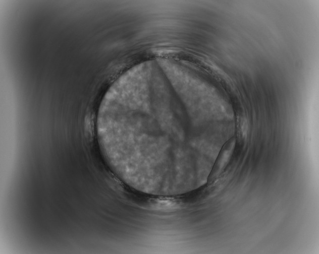 X0000094330475200711301232