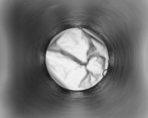 X0000094330476200711301232