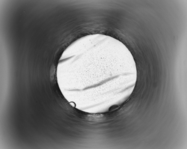 X0000094330480200711301232