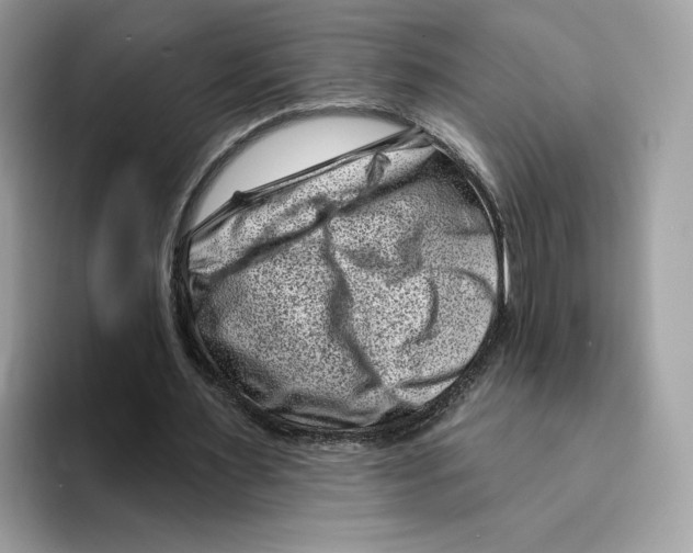 X0000094330483200711301231