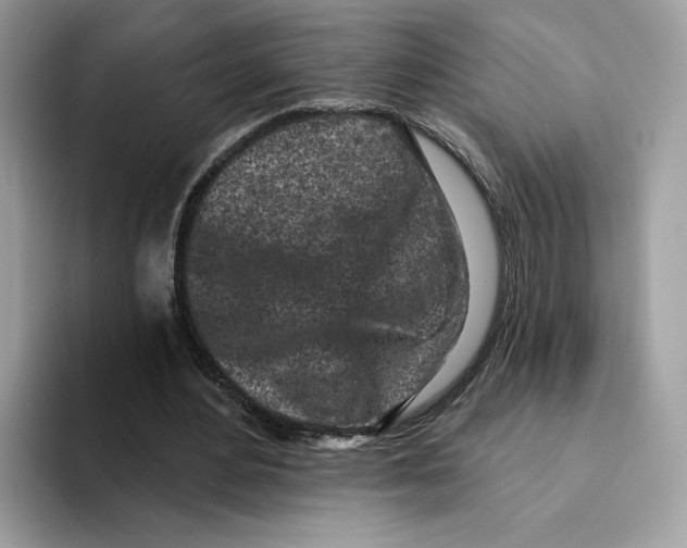 X0000094330484200711301231