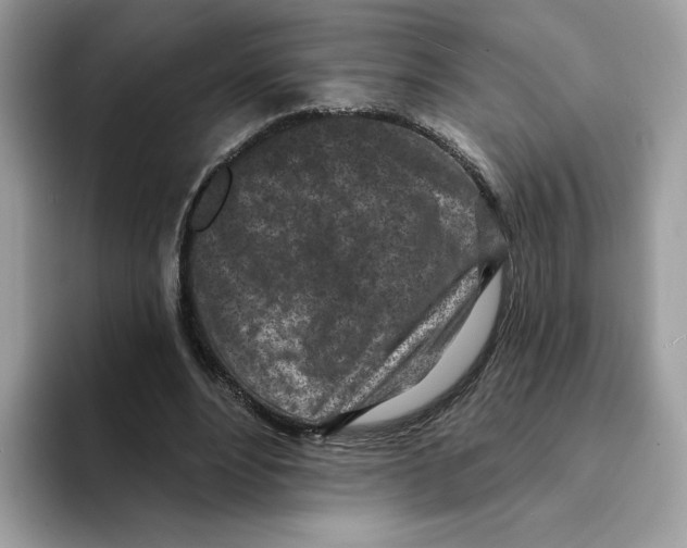 X0000094330488200711301231