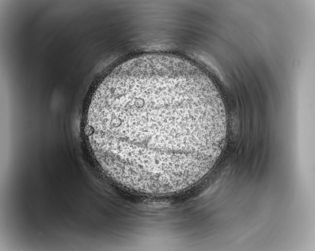 X0000094330491200711301231