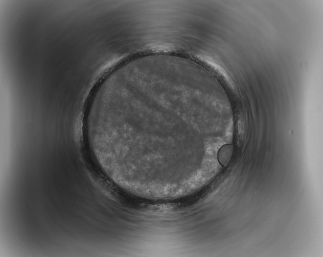 X0000094330492200711301231