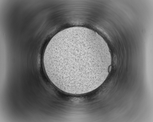 X0000094330494200711301231