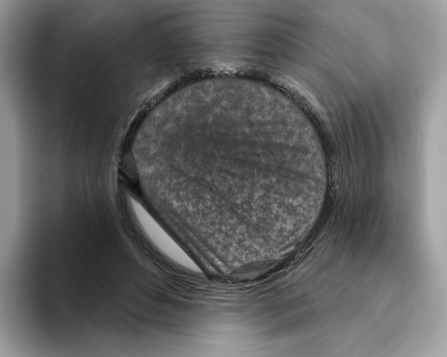 X0000094330496200711301231