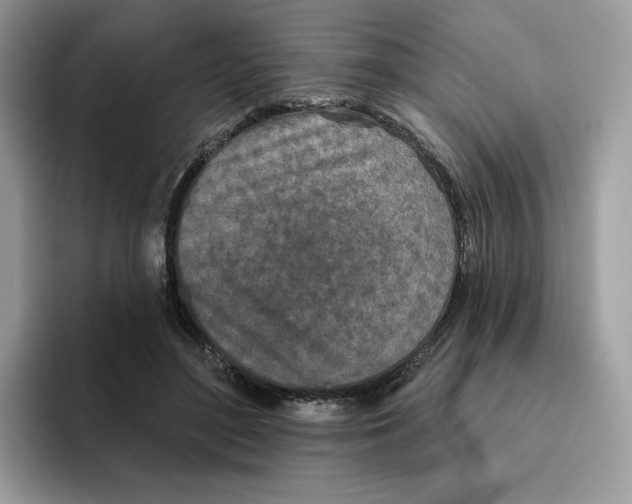 X0000094330500200711301231