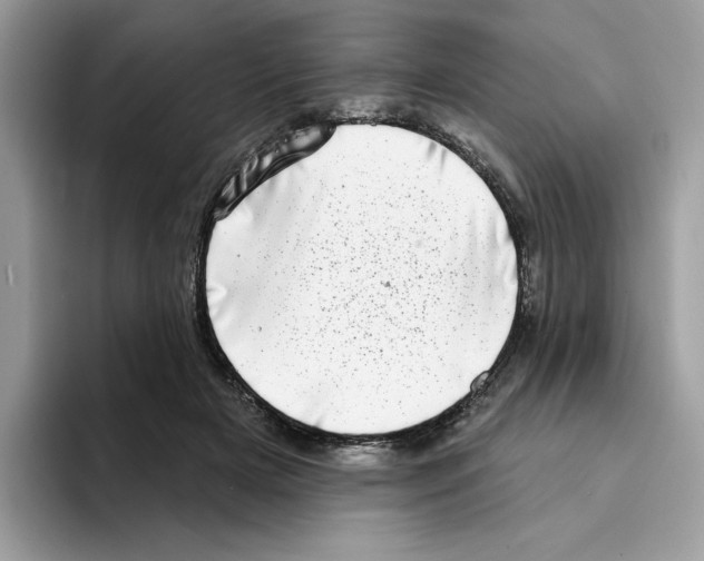 X0000094330505200711301231