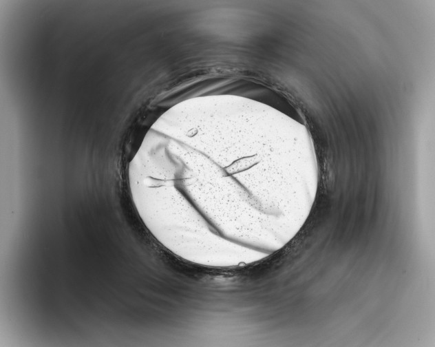 X0000094330506200711301231