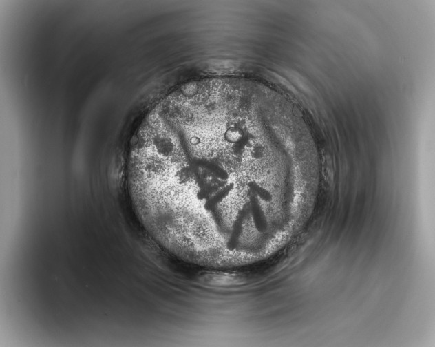 X0000094330507200711301231