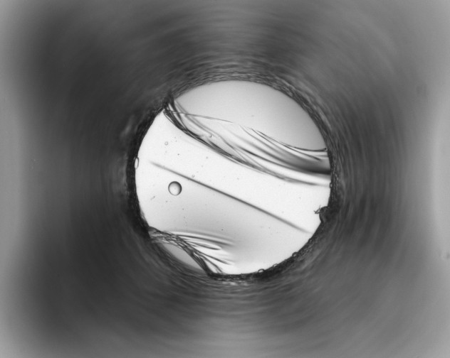 X0000094330512200711301231