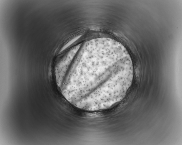 X0000094330516200711301231