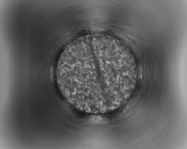 X0000094330519200711301231