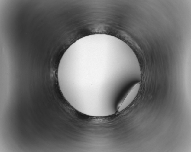 X0000094330521200711301231