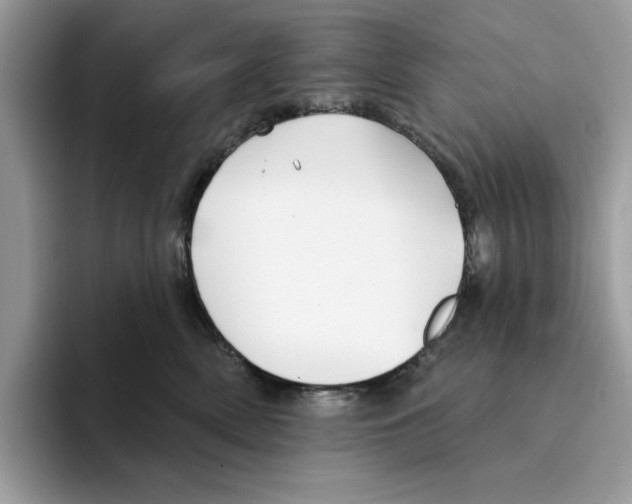 X0000094330522200711301231