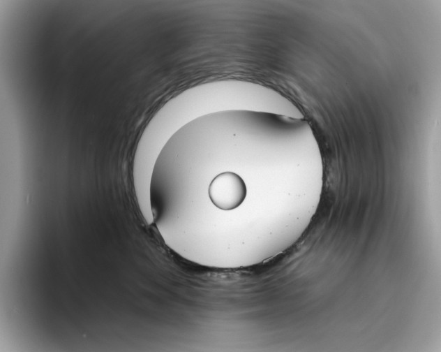 X0000094330524200711301231