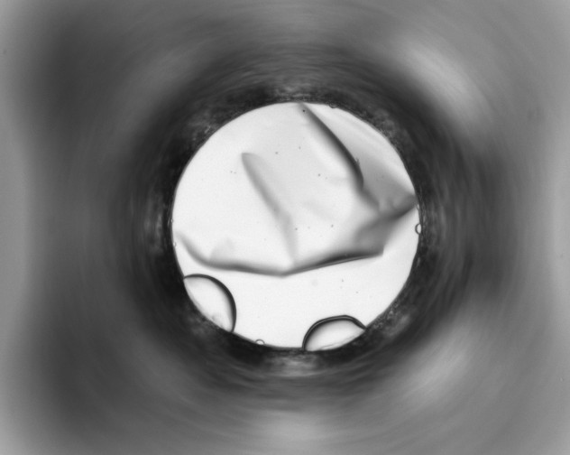 X0000094330525200711301231