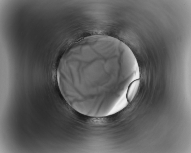 X0000094330526200711301231