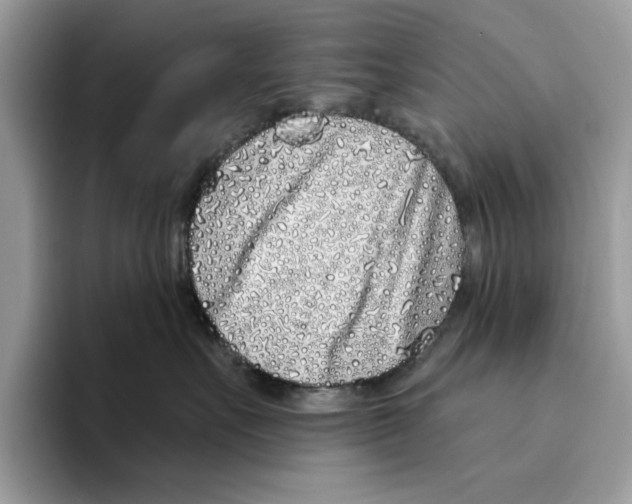 X0000094330527200711301231