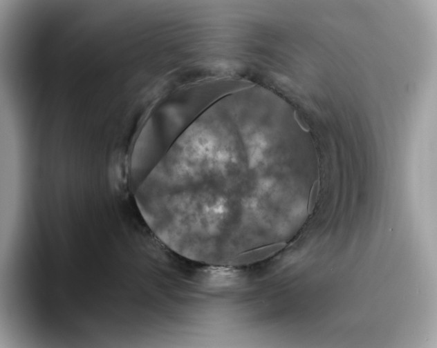 X0000094330528200711301231