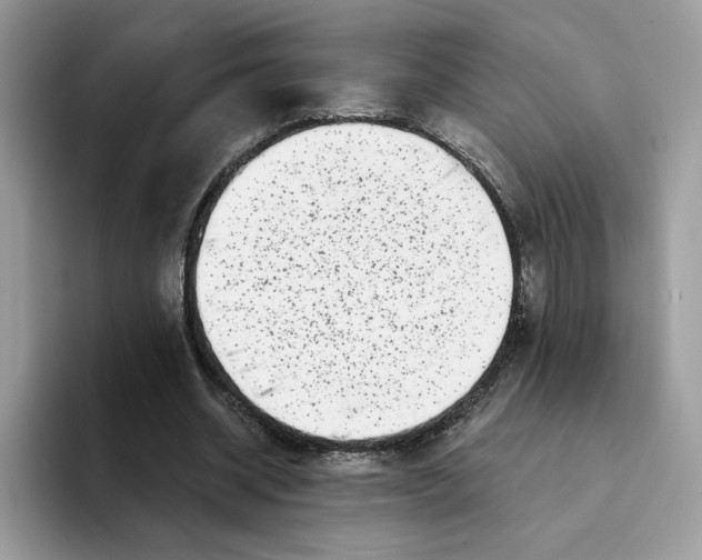 X0000094330534200711301230