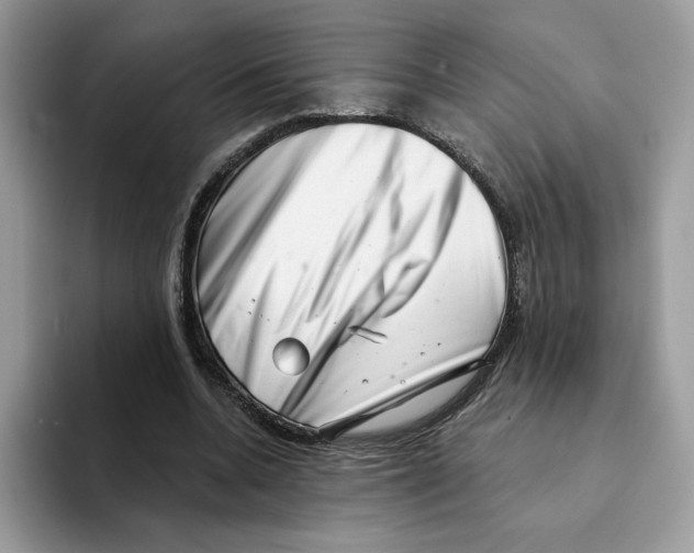 X0000094330536200711301230