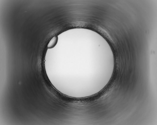 X0000094330538200711301230